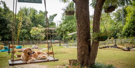 Pet-Friendly and Green Societies in Gurgaon
